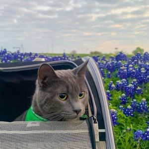 Meet your Posher, Caleb (a.k.a FunkyFindsCo)! 🌎